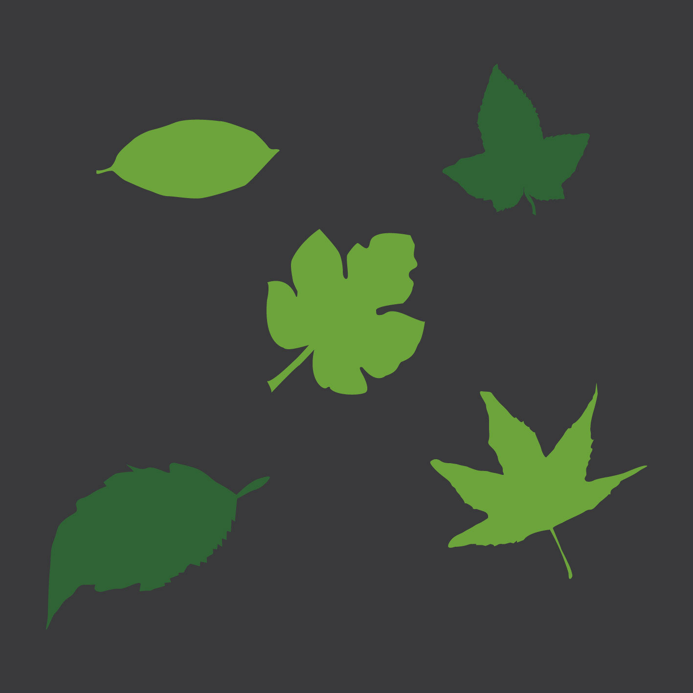 Leaf Assortment 0.3m Each