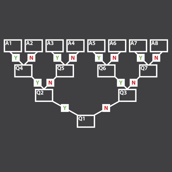 Sorting Key 5.6m x 4m