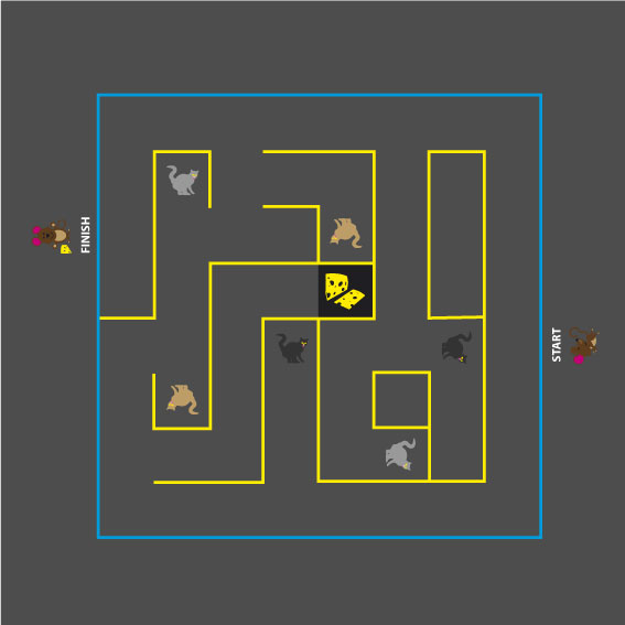 Cat & Mouse Maze 5m x 5m