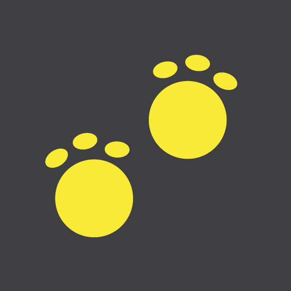 Bear Prints 0.3m x 0.3m