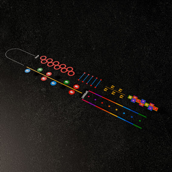 Fun Fitness Trail 15m x 3m