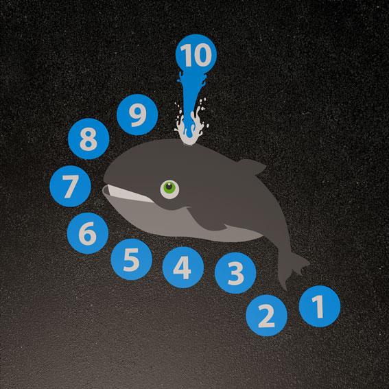 Whale Target 1.4m x 1.4m